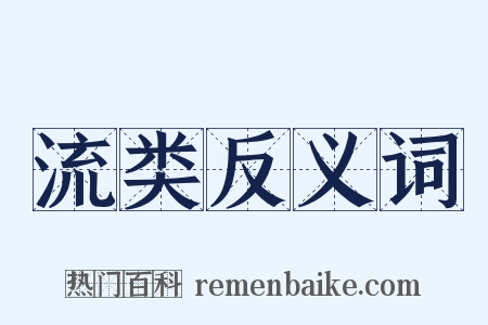 流类反义词是什么意思的图片